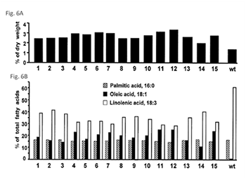NK Patent Law – Mobile app patent illustration (U.S. Patent No. 9,574,206)
