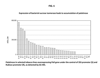 NK Patent Law – Mobile app patent illustration (U.S. Patent No. 9,745,592)