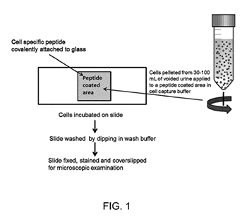 NK Patent Law – Mobile app patent illustration (U.S. Patent No. 9,279,810)